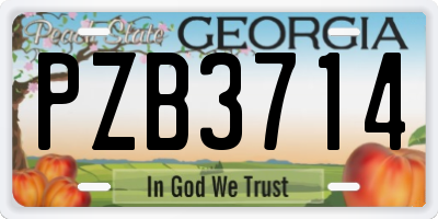 GA license plate PZB3714