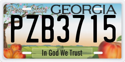 GA license plate PZB3715