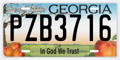 GA license plate PZB3716