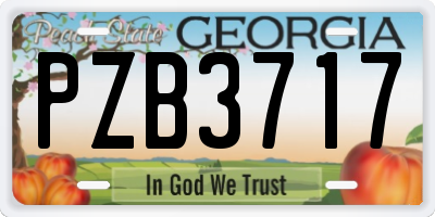 GA license plate PZB3717