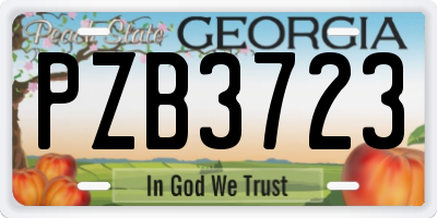 GA license plate PZB3723