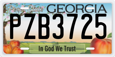 GA license plate PZB3725