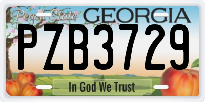 GA license plate PZB3729