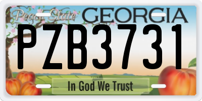 GA license plate PZB3731