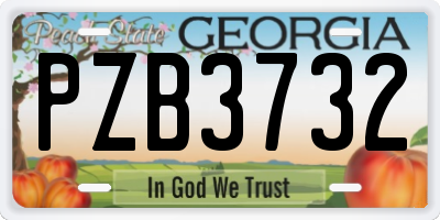 GA license plate PZB3732