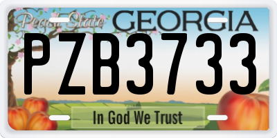 GA license plate PZB3733