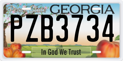 GA license plate PZB3734