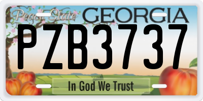 GA license plate PZB3737
