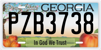 GA license plate PZB3738