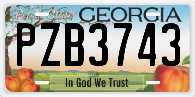 GA license plate PZB3743
