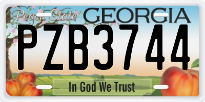 GA license plate PZB3744