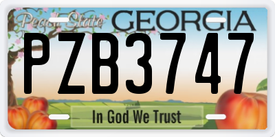GA license plate PZB3747