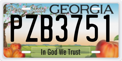 GA license plate PZB3751