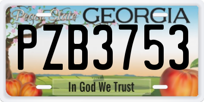 GA license plate PZB3753