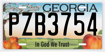 GA license plate PZB3754