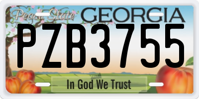 GA license plate PZB3755