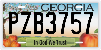 GA license plate PZB3757
