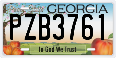 GA license plate PZB3761