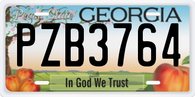 GA license plate PZB3764