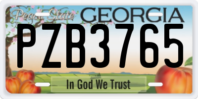 GA license plate PZB3765