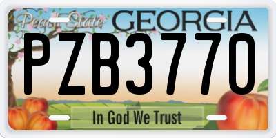 GA license plate PZB3770