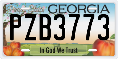 GA license plate PZB3773