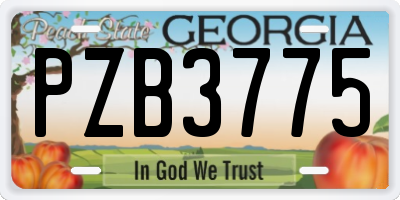 GA license plate PZB3775