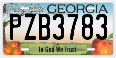 GA license plate PZB3783