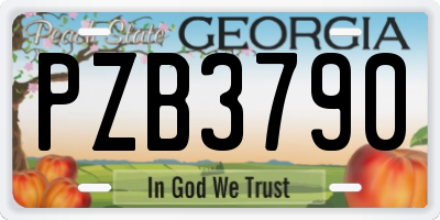 GA license plate PZB3790