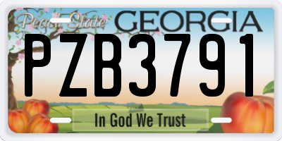 GA license plate PZB3791
