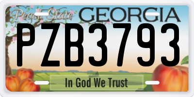 GA license plate PZB3793