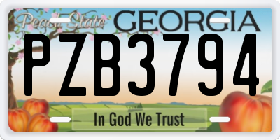 GA license plate PZB3794