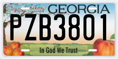 GA license plate PZB3801
