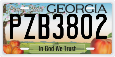 GA license plate PZB3802