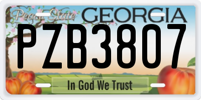 GA license plate PZB3807