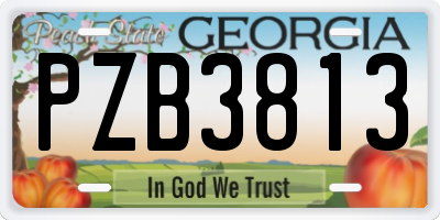 GA license plate PZB3813