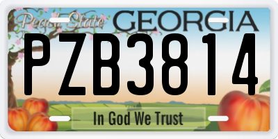 GA license plate PZB3814