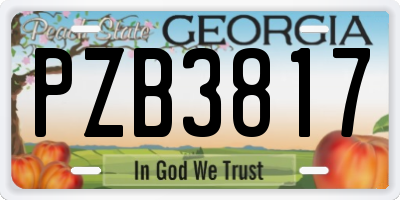 GA license plate PZB3817