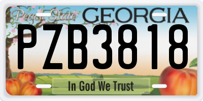 GA license plate PZB3818