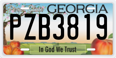 GA license plate PZB3819