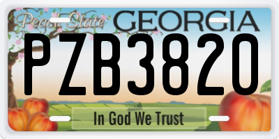 GA license plate PZB3820