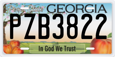 GA license plate PZB3822