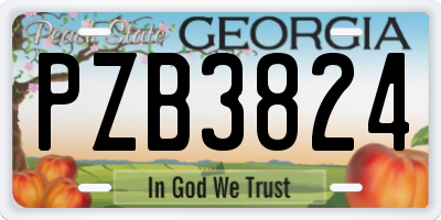 GA license plate PZB3824