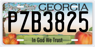 GA license plate PZB3825