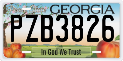 GA license plate PZB3826