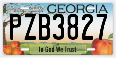 GA license plate PZB3827