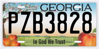 GA license plate PZB3828