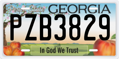 GA license plate PZB3829