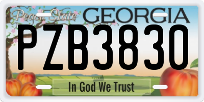 GA license plate PZB3830