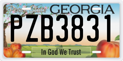 GA license plate PZB3831